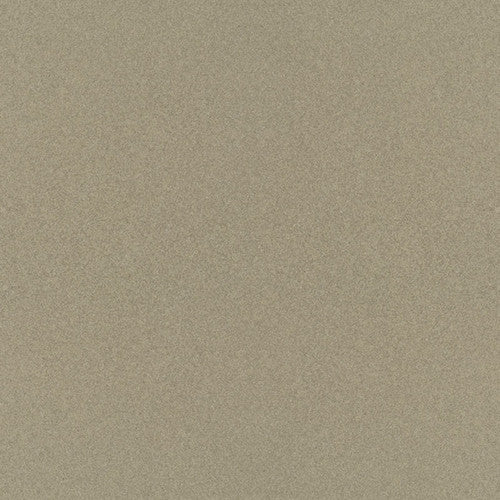 Desert Rock Metallic Touch-Up Paint (YR545M) – TUCHYR545MA1