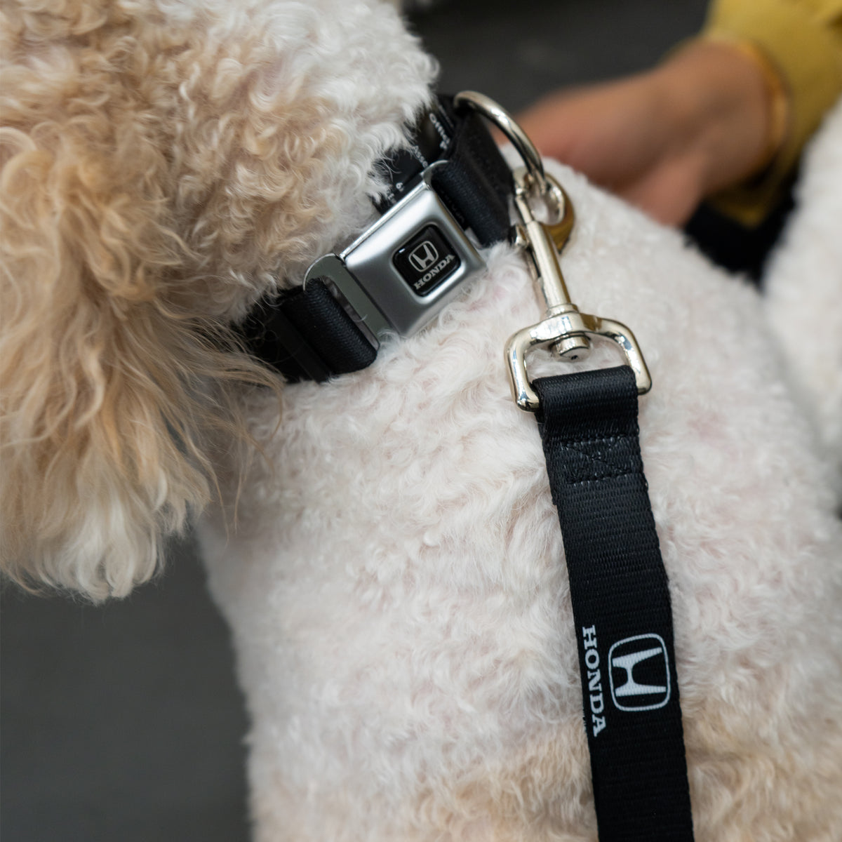 Dog Leash Honda Logo Black/White - Buckle-Down
