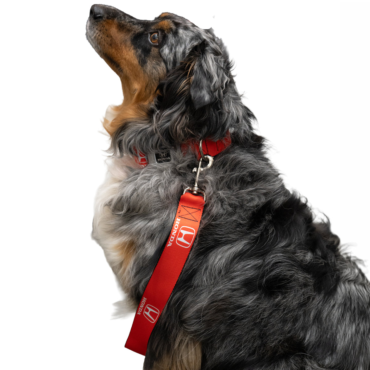 Dog Leash Honda Logo Red/White - Buckle-Down