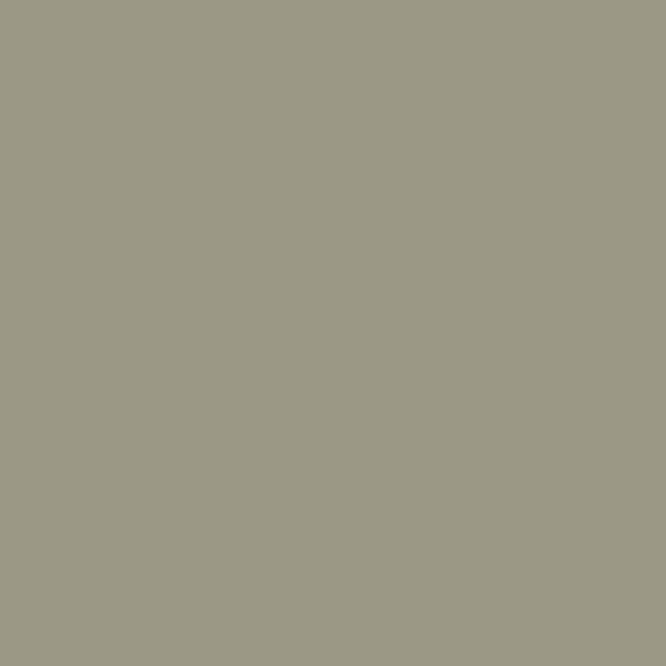 Desert Mist Metallic Touch-Up Paint (YR538M) – TUCHYR538MA1